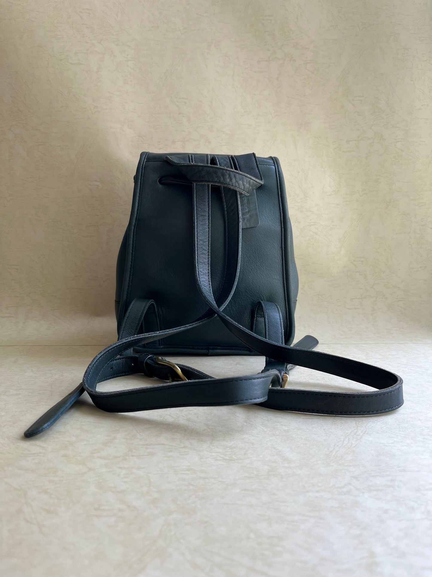 Vintage Coach Green Daypack