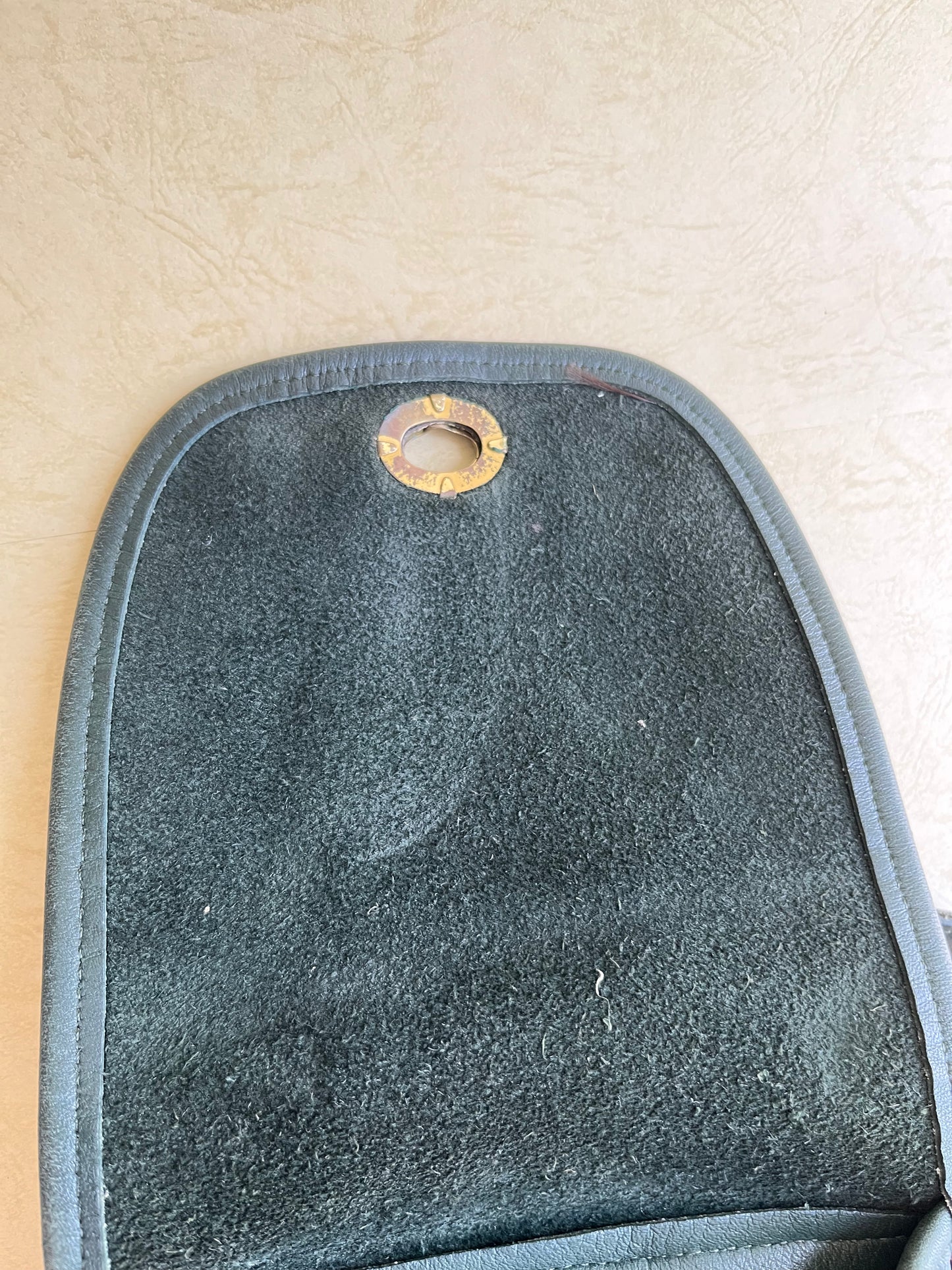 Vintage Coach Green Daypack