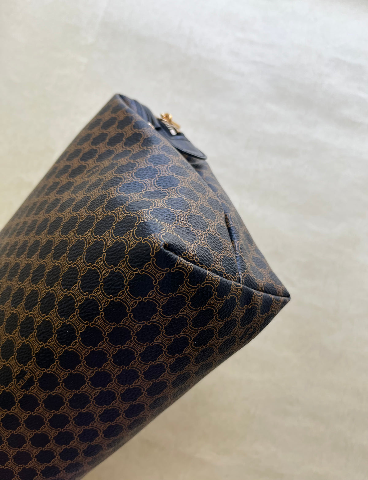 Vintage Celine Pouch (size: L)