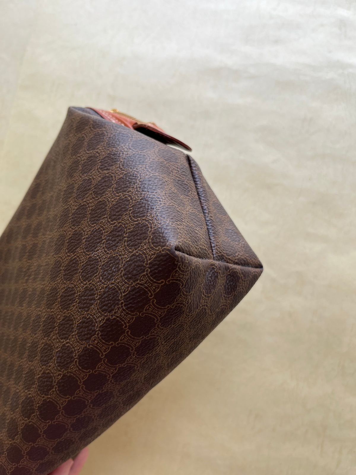 Vintage Celine Pouch (size: M)