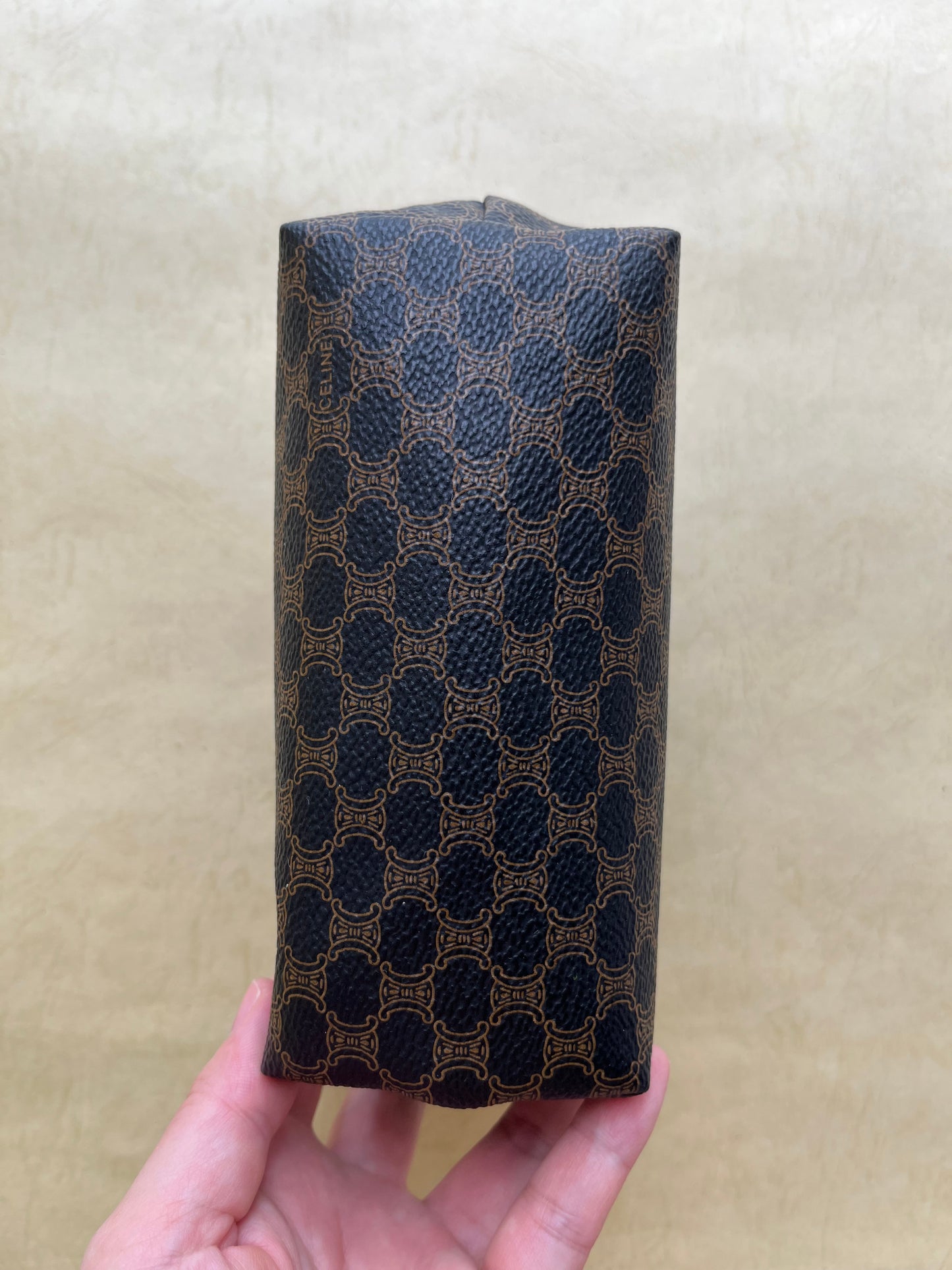 Vintage Celine Pouch (size:mini)