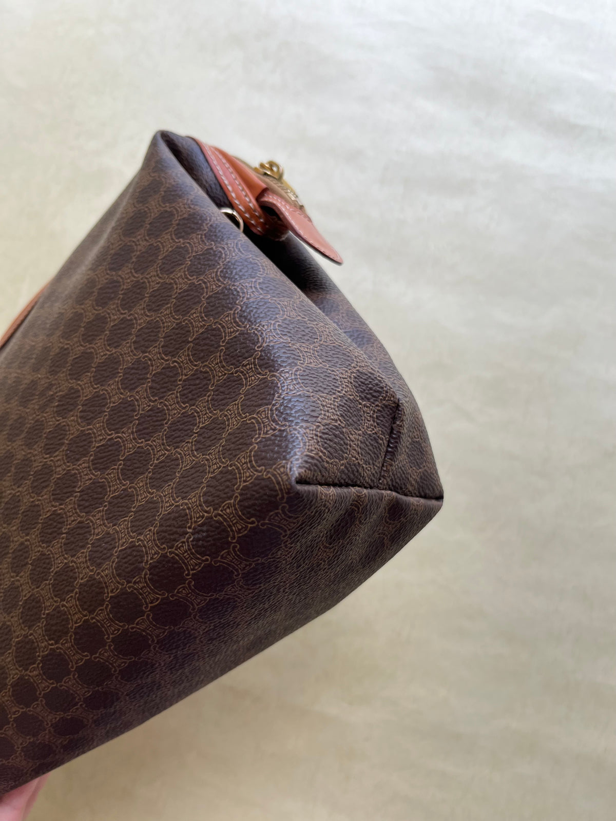 Vintage Celine Pouch (size: L)