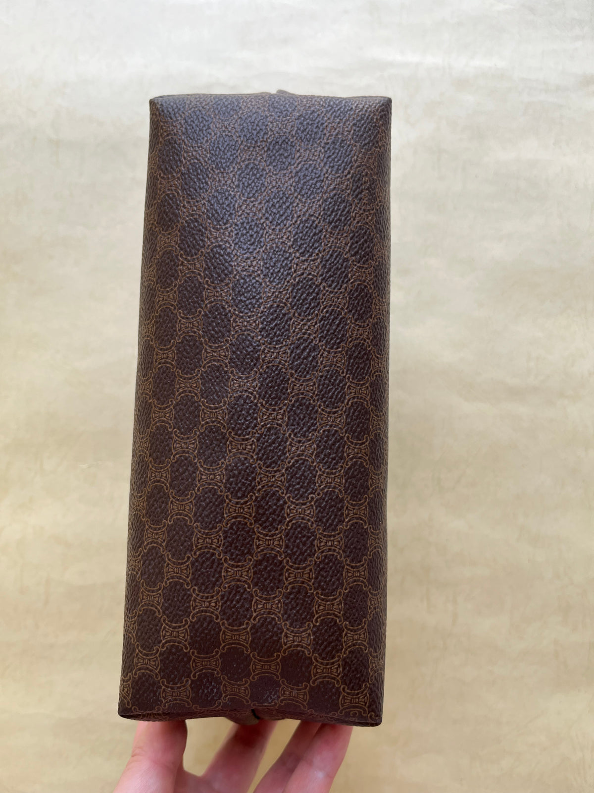 Vintage Celine Pouch (size: M)