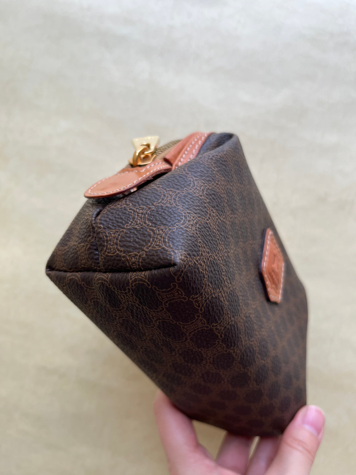 Vintage Celine Pouch (size: mini)