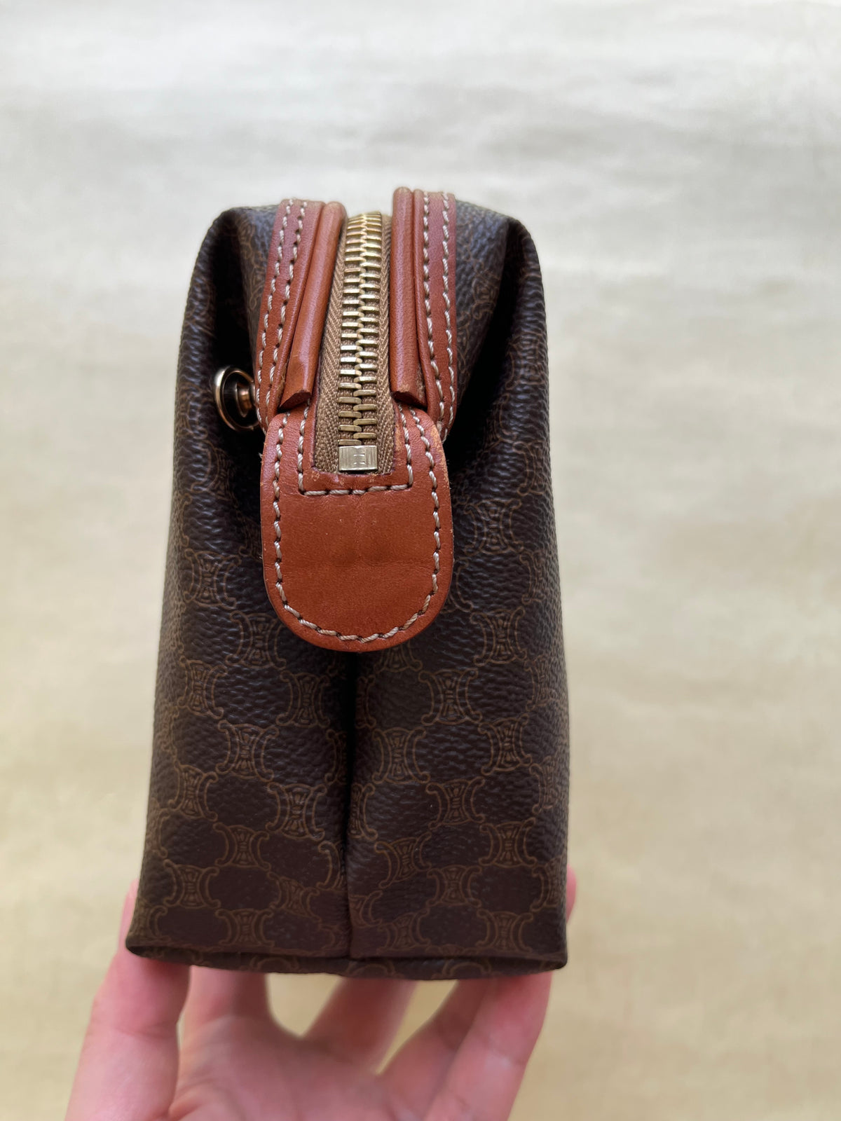 Vintage Celine Pouch (size: M)
