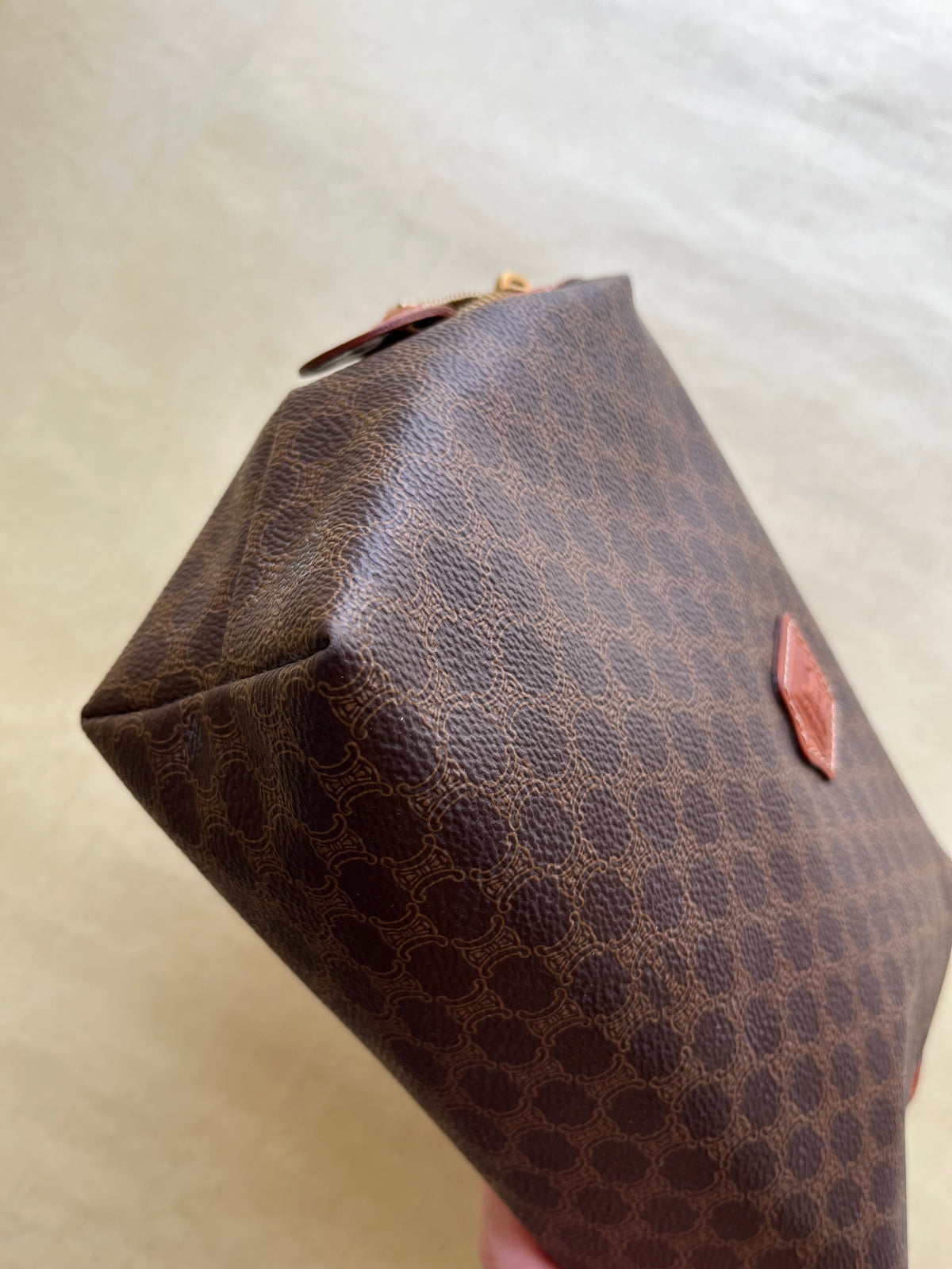 Vintage Celine Pouch (size: M)