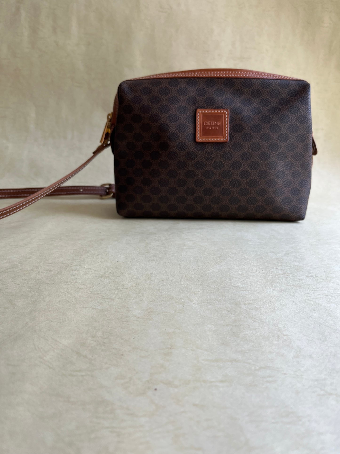 Vintage Celine Pouch (size: M)