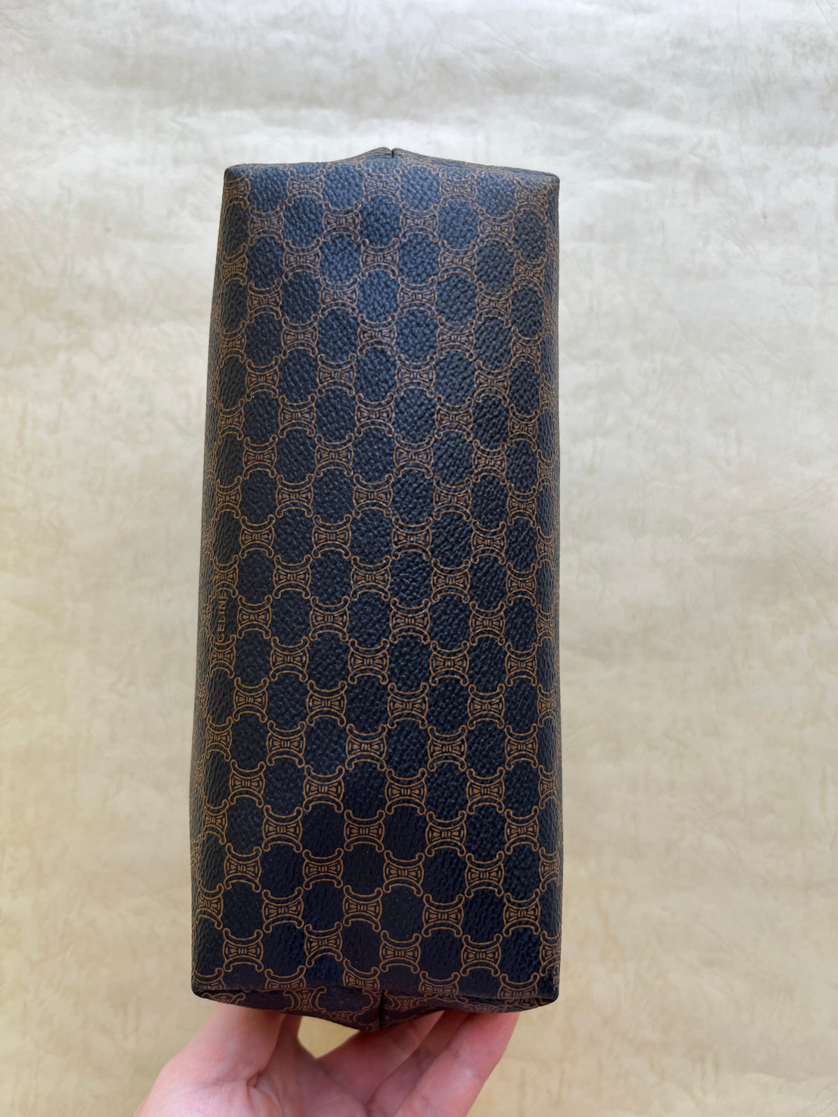 Vintage Celine Pouch(size: M)