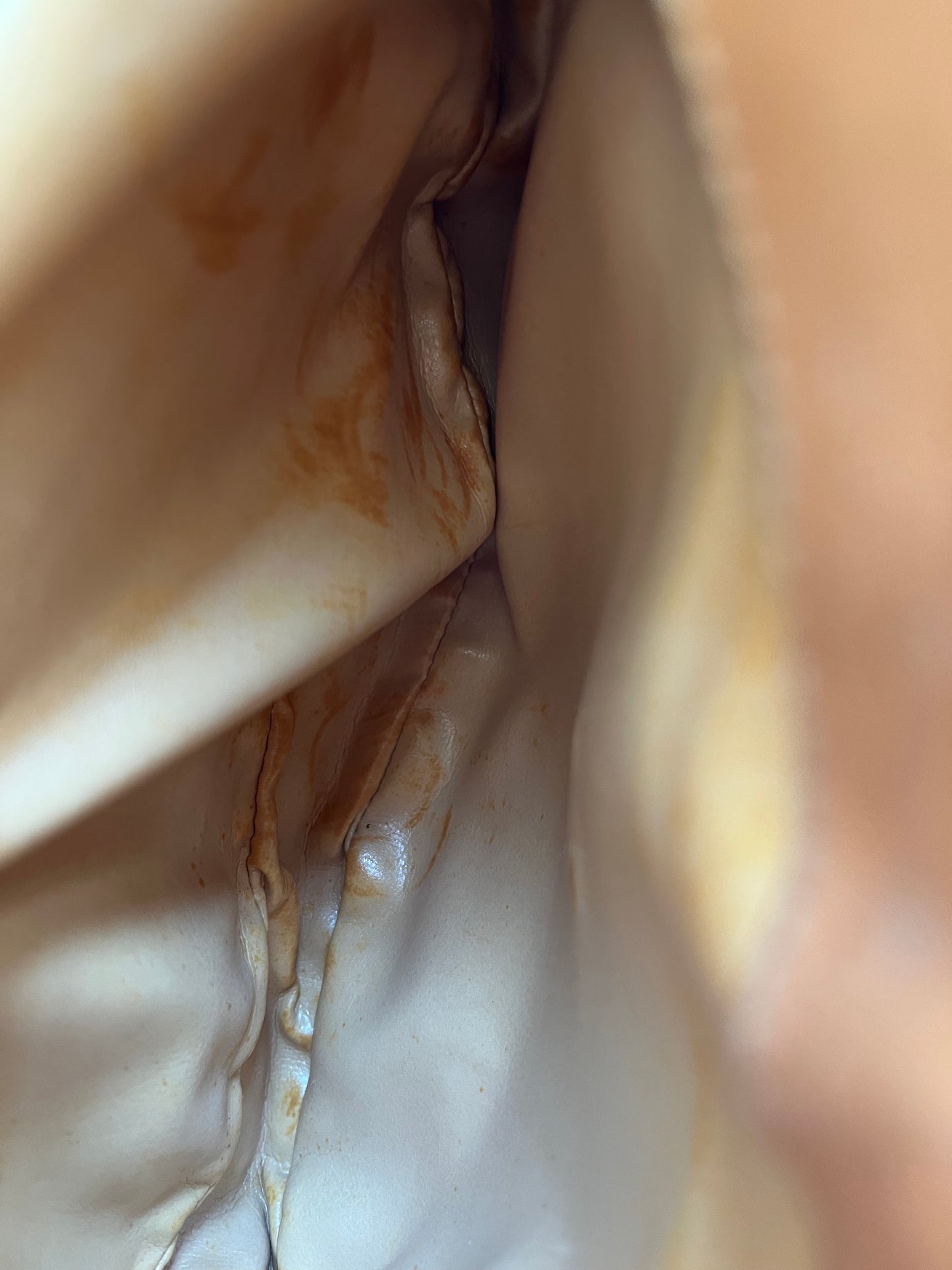 Vintage Celine Crossbody Bag