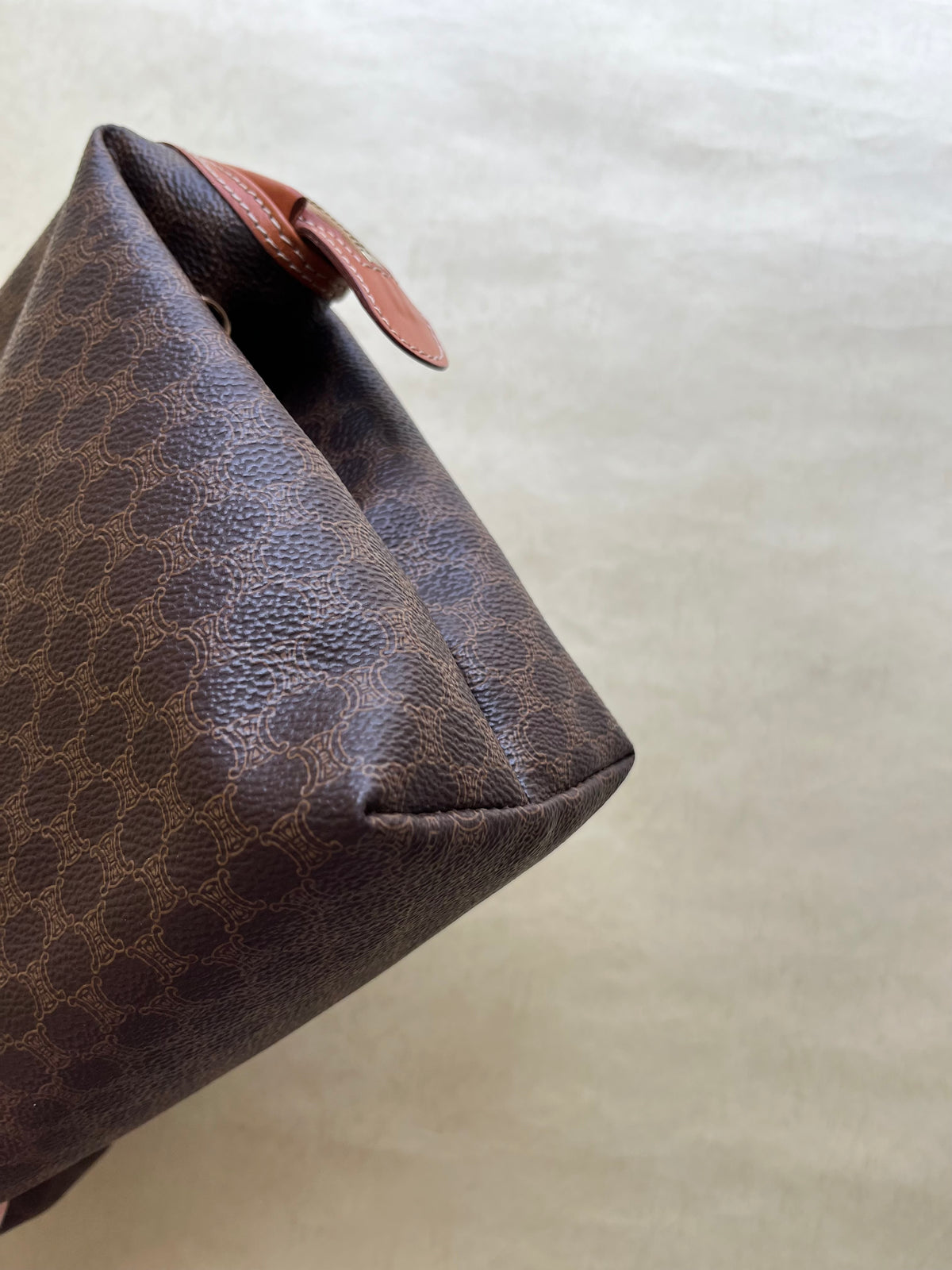 Vintage Celine Pouch (size: L)