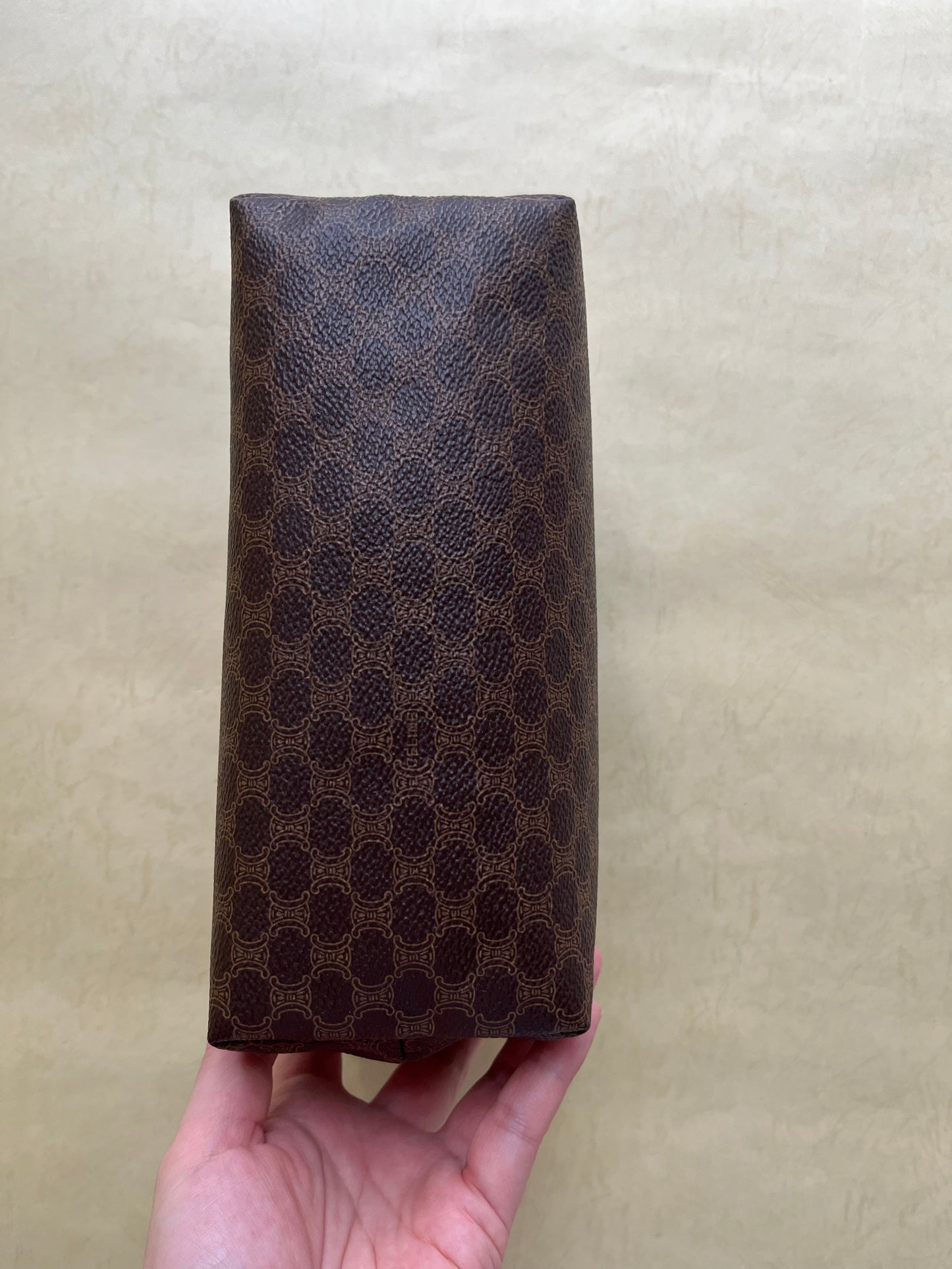 Vintage Celine Pouch (size: M)
