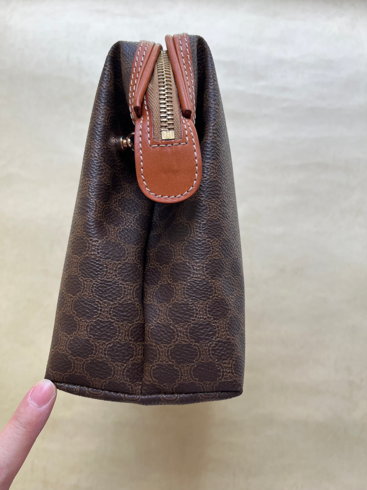 Vintage Celine Pouch (size: L)