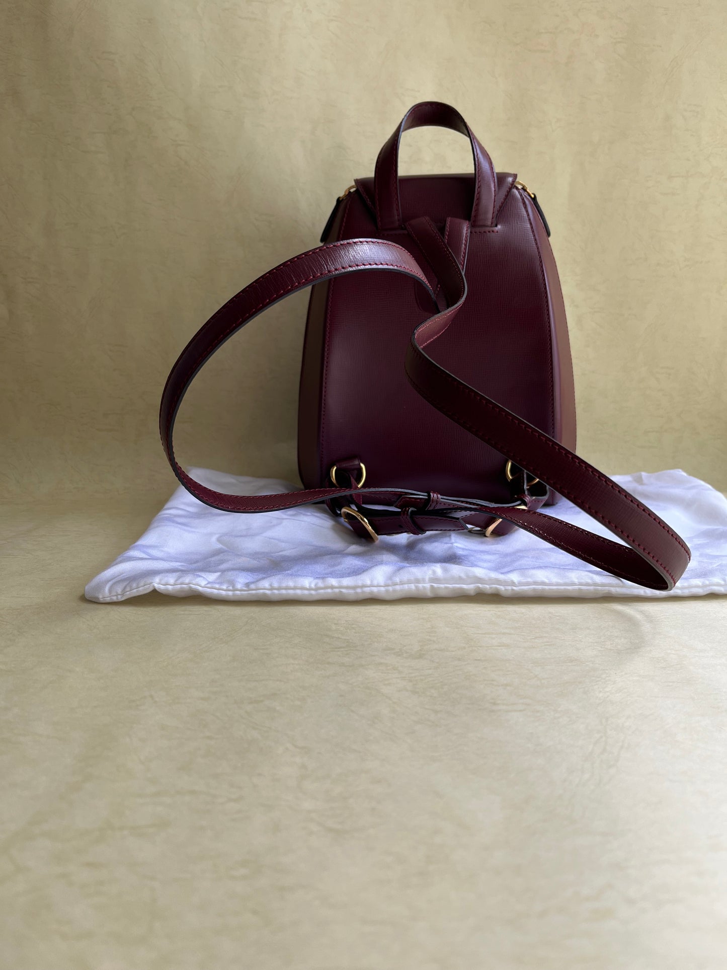 Vintage Cartier Backpack
