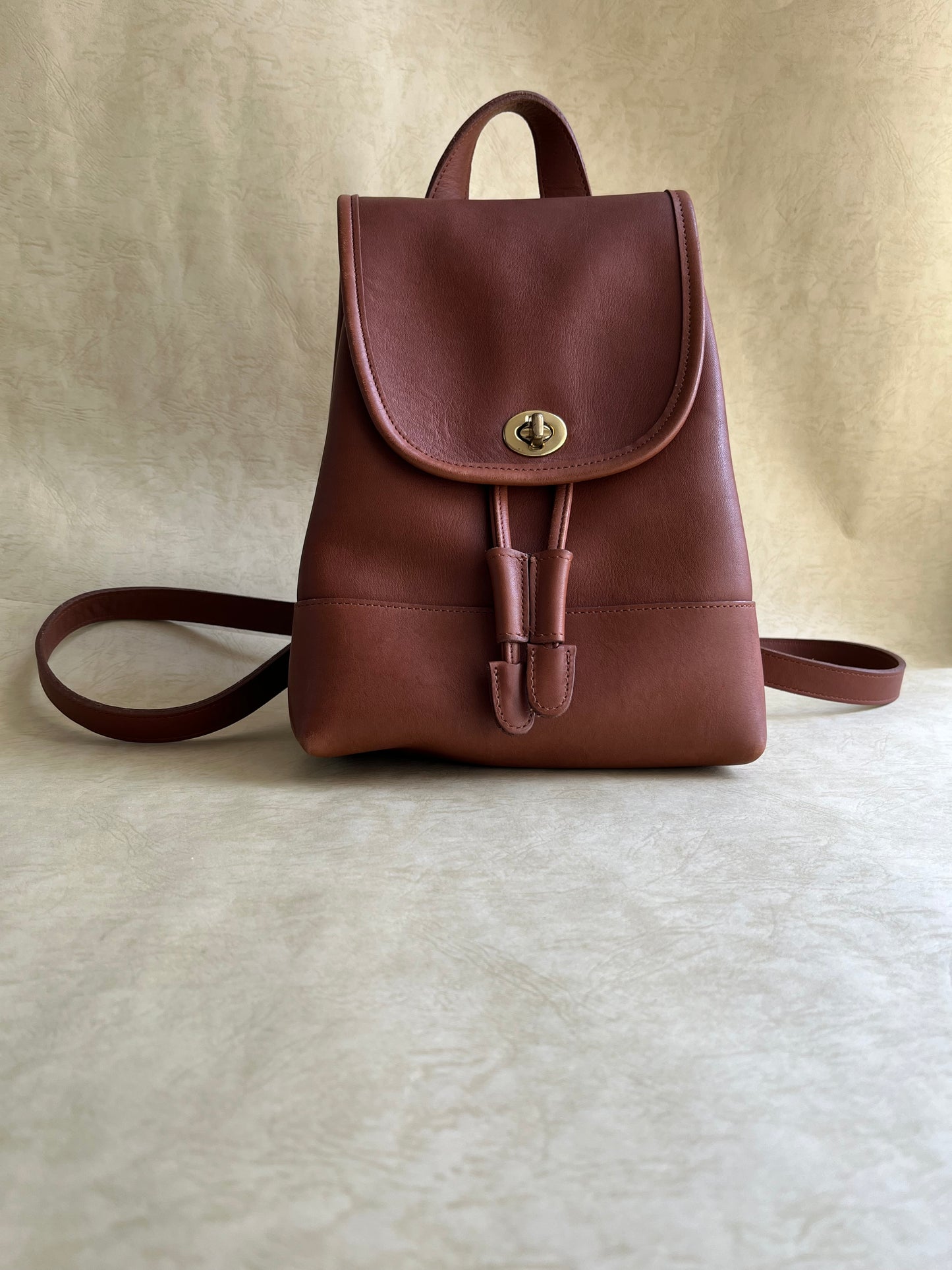 Vintage Coach Backpack