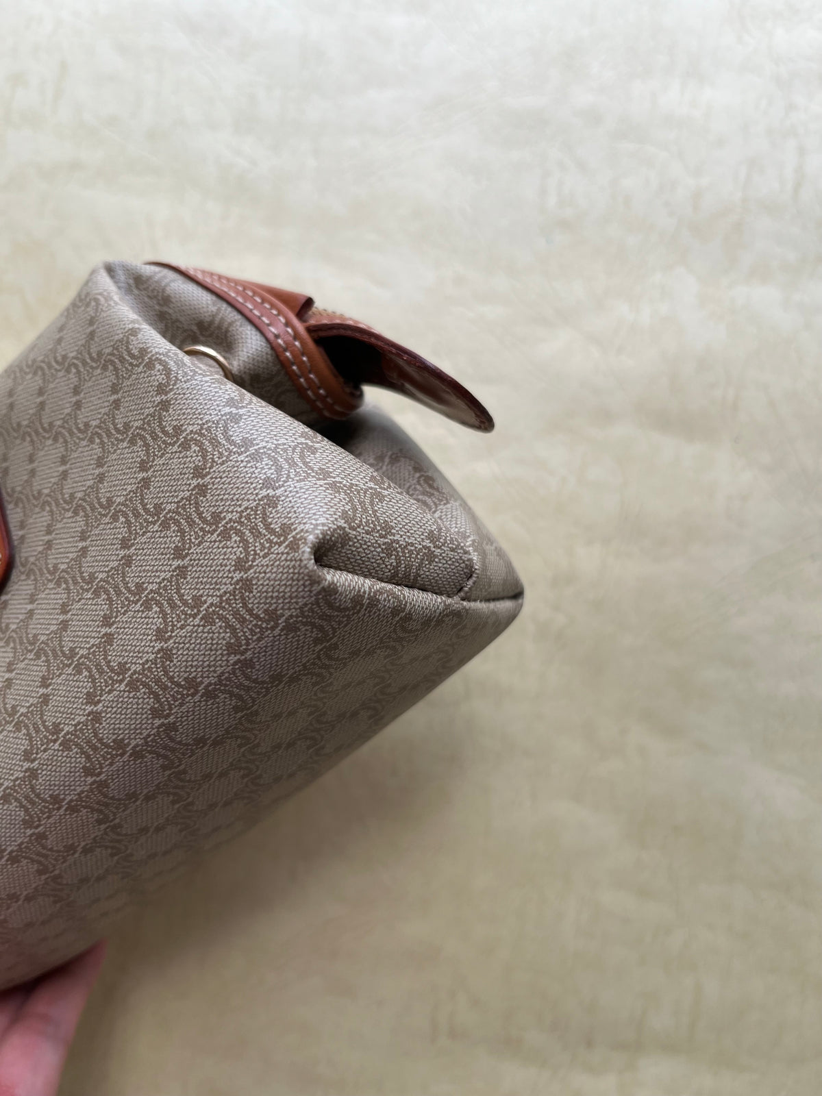 Vintage Celine Pouch (size: mini)