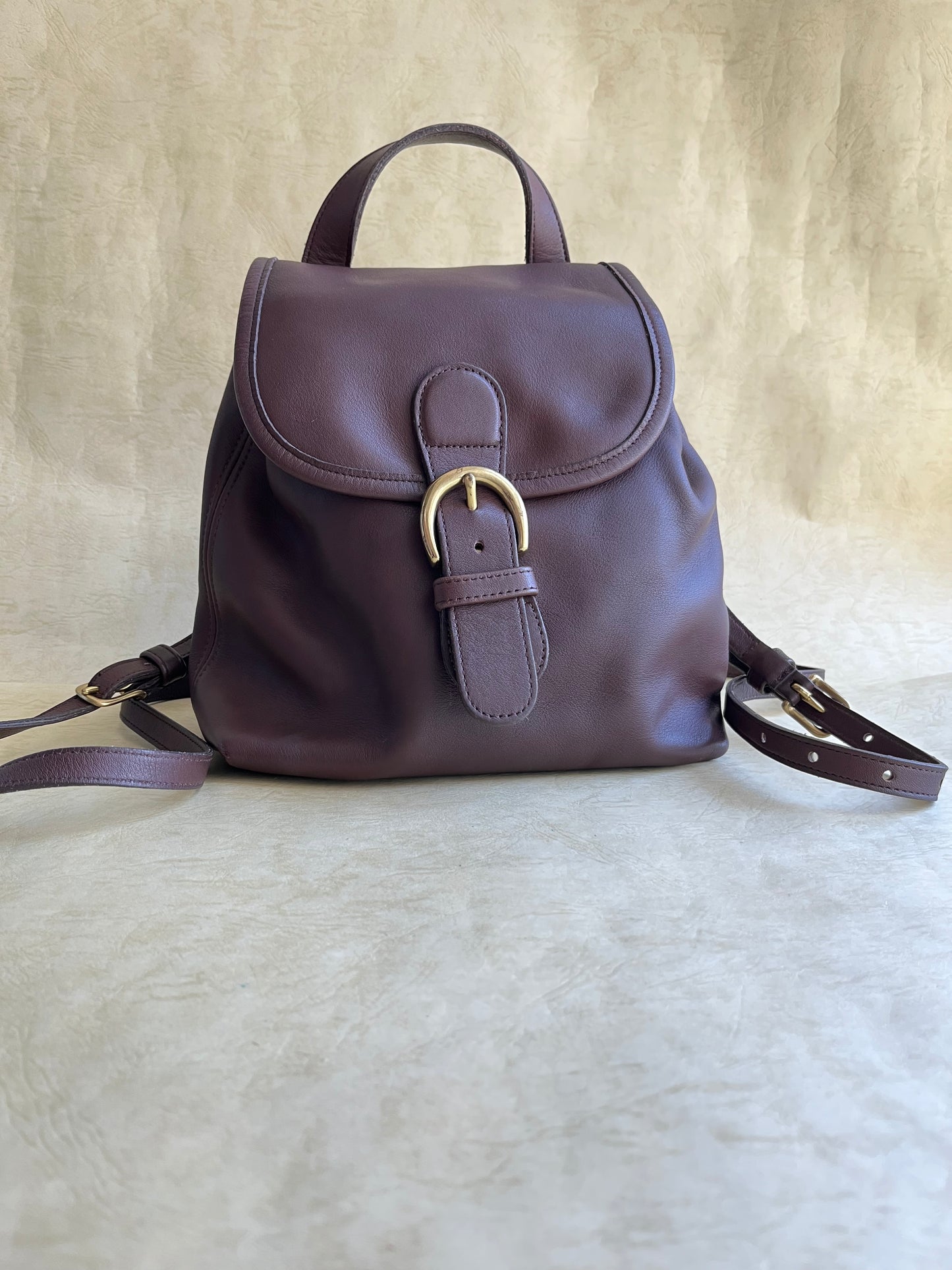 Vintage Coach Backpack